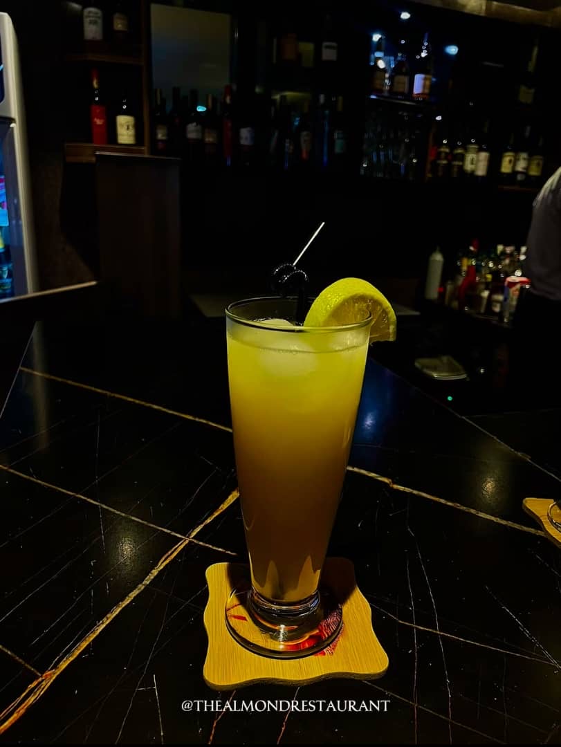 Citrus Highball Cocktail